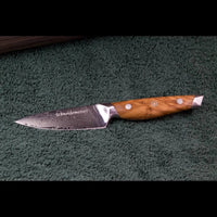 SKeld® Damast Gemüsemesser, 67 Lagen, V10 Stahlkern, Griff aus Olivenholz